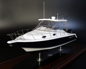 Custom Models - WELLCRAFT - WELLCRAFT 290 Coastal custom model - Abordage