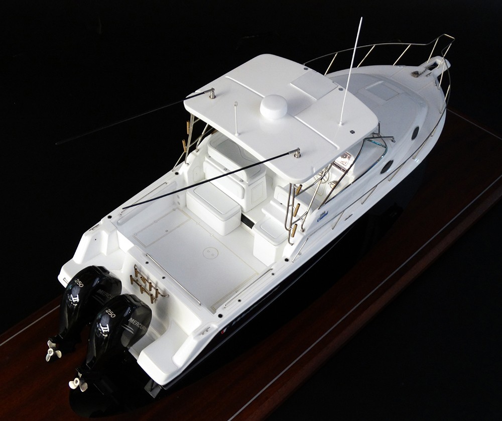 Custom Models - WELLCRAFT - WELLCRAFT 290 Coastal custom model - Abordage