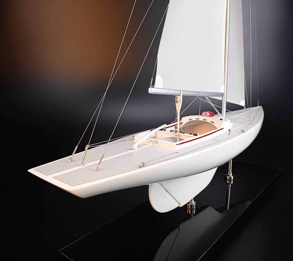 Custom Models - - Dragon custom model replica - Abordage