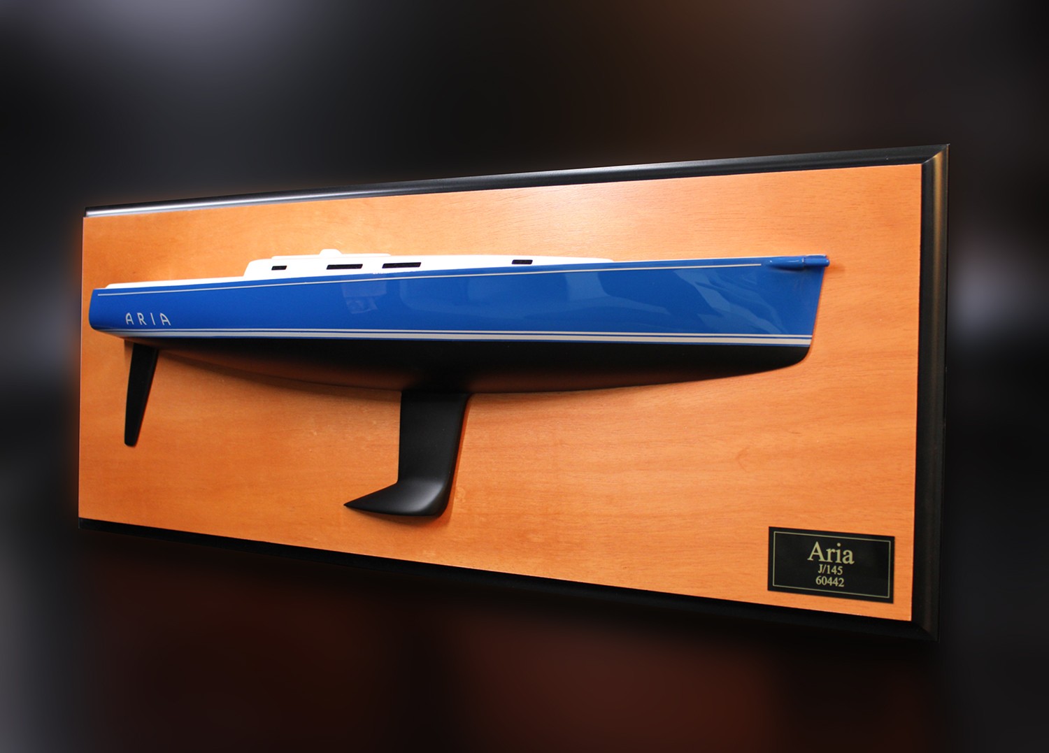 J145 JBoats custom half model