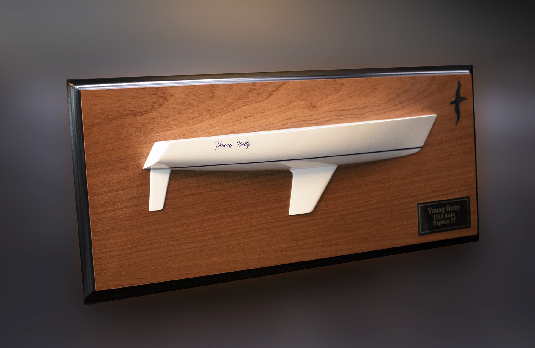 Alerion Express 27 custom half hull