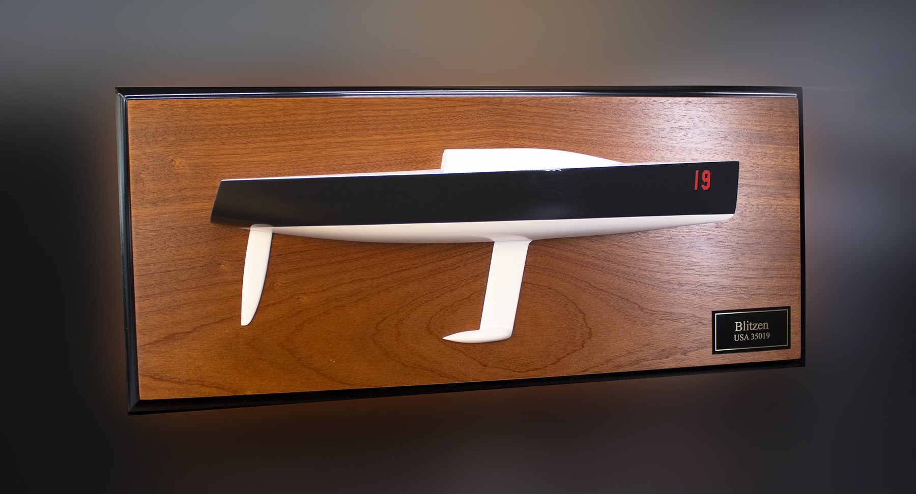 Nelson Marek 1D 35 half model with cabin and cockpit only