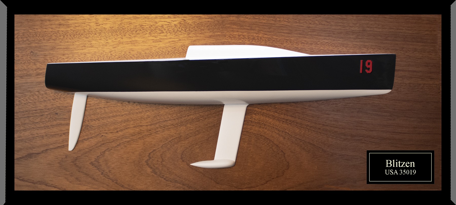 Nelson Marek 1D 35 half model with cabin and cockpit only